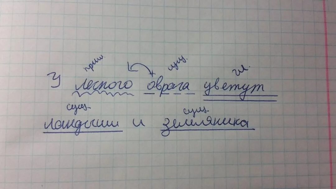 Синтаксический разбор предложения нежно голубые незабудки люди. Разбор предложения. Синтаксический разбор земляника. Синтаксический разбор предложения земляники.