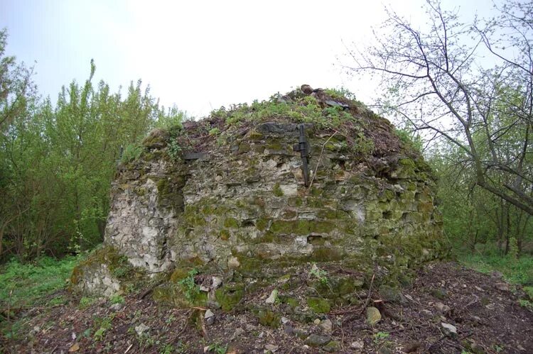 Село девять. Деревня девять Дубов Хотынецкого района Орловской области. Село девять Дубов. Село девять Дубов Орловской области. Село Вербник Хотынецкий район.