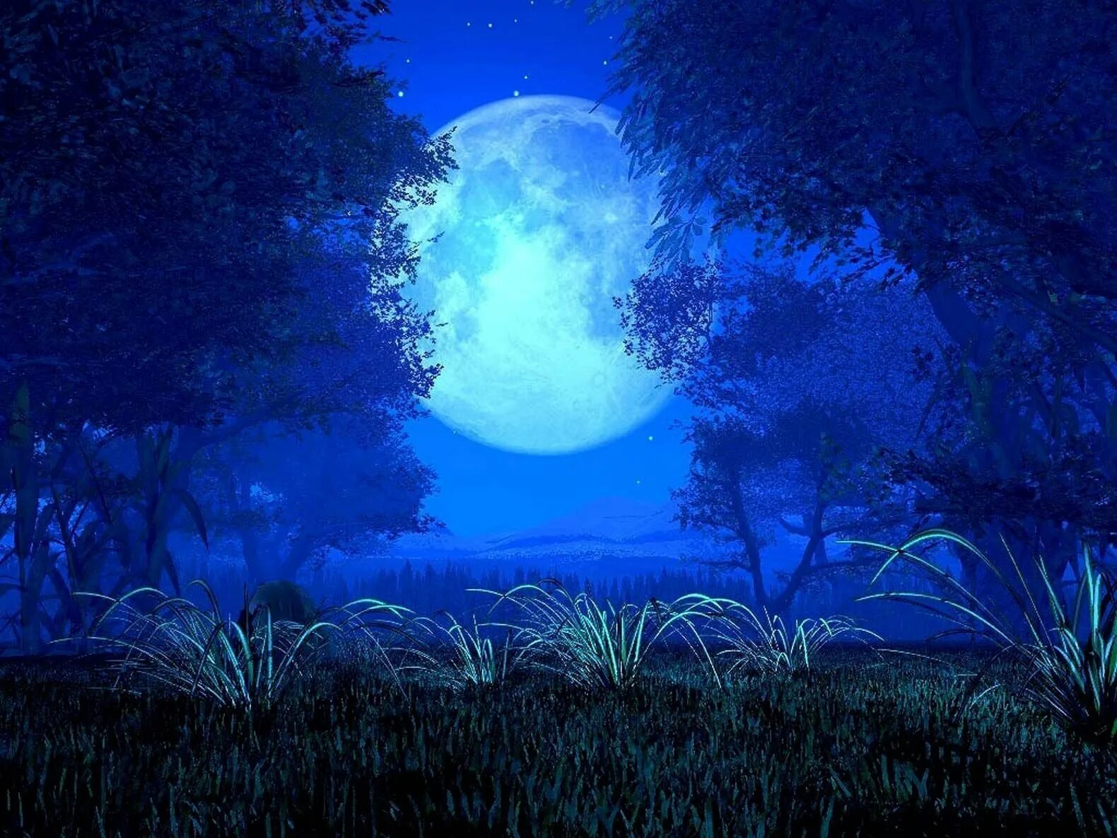 Лунная ночь. Волшебная ночь. Луна в лесу. Сказочная ночь. Чудесные лунные мартовские ночи ответы