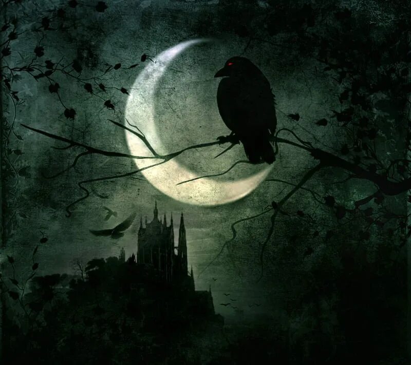 Night crows вороны. Ворон ночь Луна. Ночь Луна ворона. Ночь ворона. Ворон ночью.