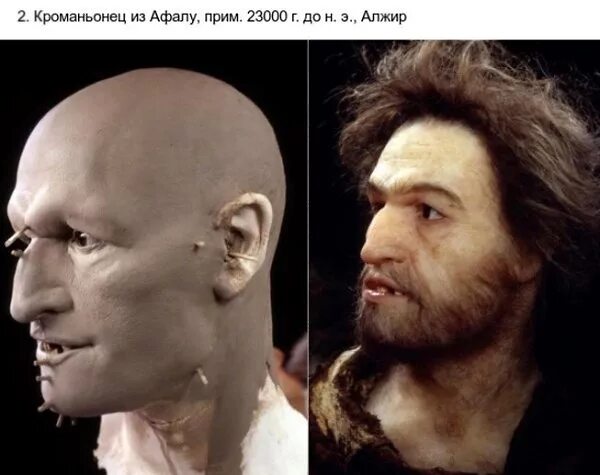Теперь облик. Реконструкция внешности. реконструкция облика древних людей. реконструкция внешности древних.