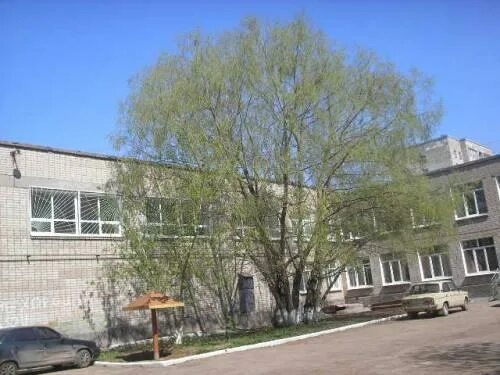 Школа 82 пермь официальный сайт. Школа 82 пермь официальный сайт. Школа 42 пермь. Пермь школа 82 суздальская физкультура. Школа 82 пермь.