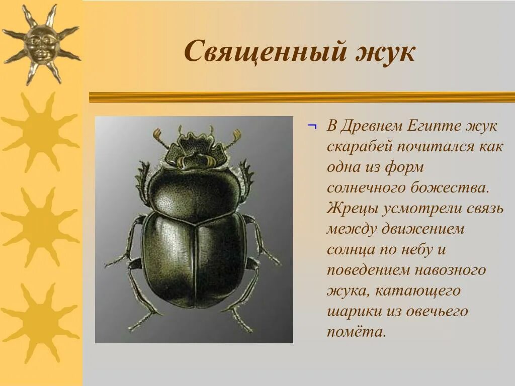 Жук скоробейник в египте символ. Амулет скарабей древний египет. Скарабей жук в древнем египте символ. Боги древнего египта жук скарабей. Жук скоробейник значение.