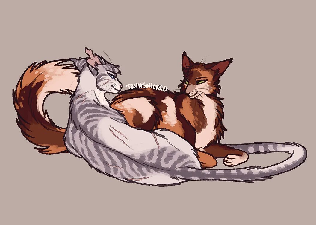 Коты воители киара. Коты воители искра и пестроцветик. Коты воители терновник и пестроцветик. Терновник кот. Терновник кот.