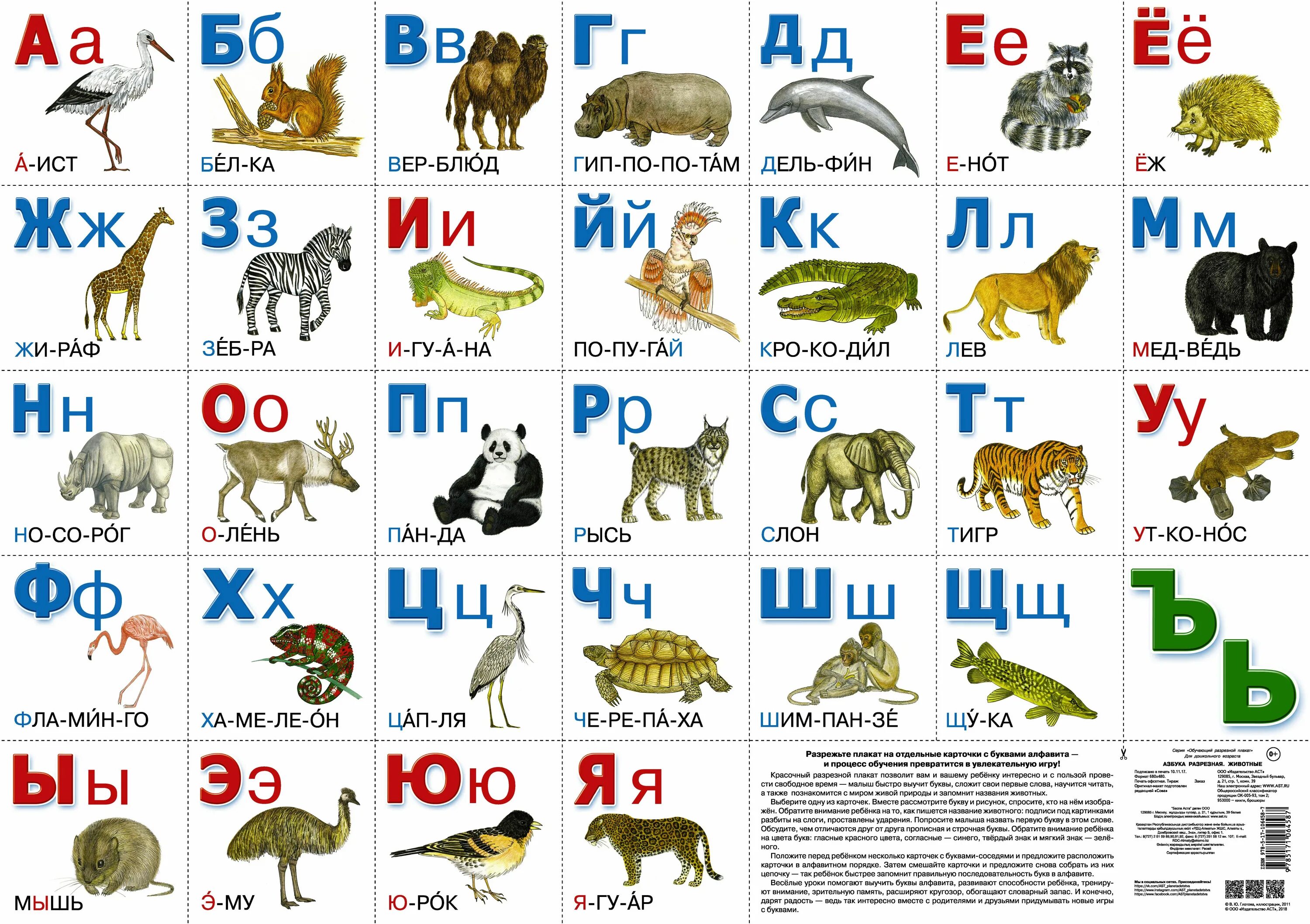 Слова с буквами ала. Азбука и животные. Животные на букву а. Названия животных по алфавиту. Алфавит с животными.