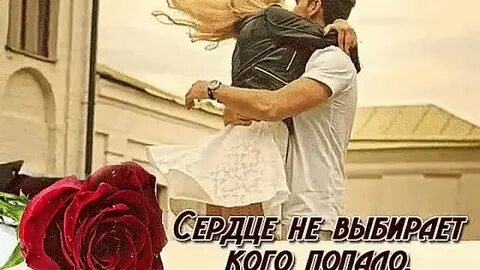 Сердце не об одном