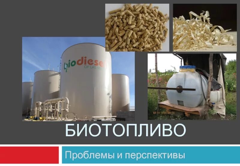 Регион перспективного использования биотоплива. Биотопливо. жидкое биотопливо. газообразное биотопливо. виды биотоплива.