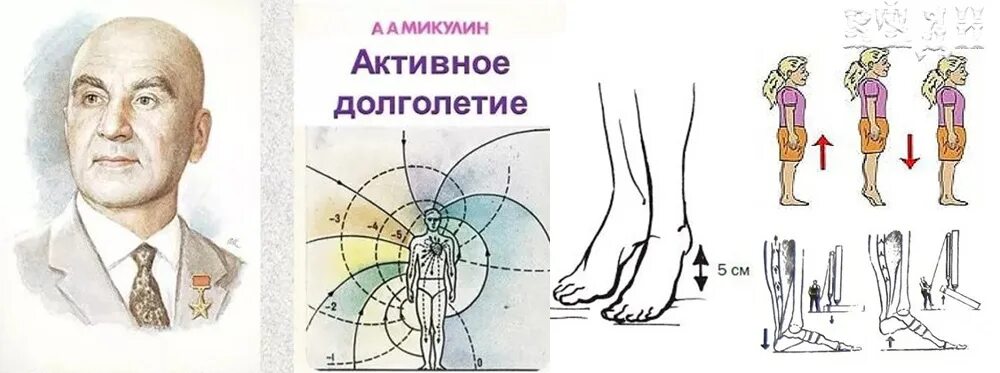 Микулин книга активное долголетие. Микулин активное долголетие. Методика Академика Микулина. Активное долголетие Микулин упражнения. Виброгимнастика Микулина.