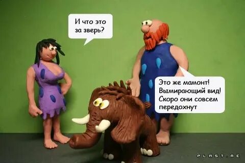 Куда я переводил