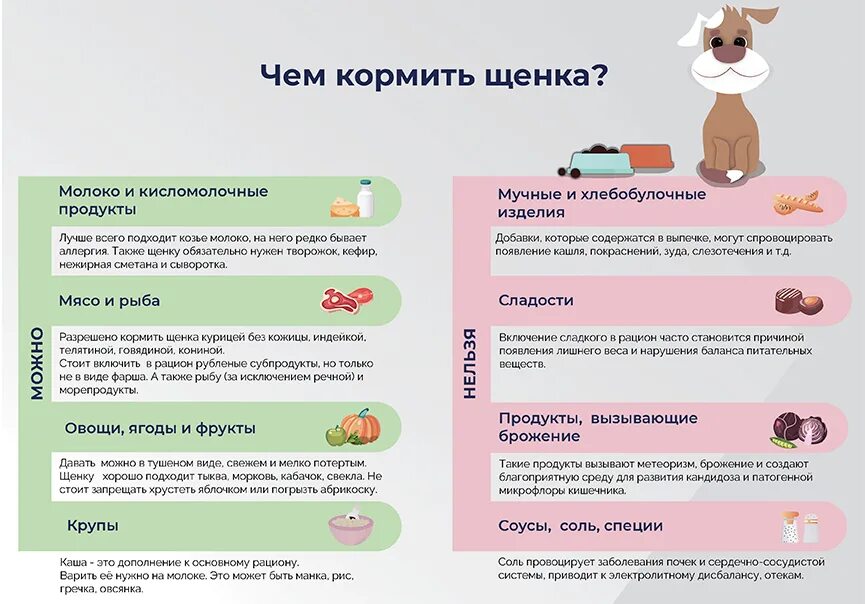 Сколько должна пить собака. Чем кормить щенка 1 месяц. Рацион питания щенка 1.5 месяцев. Рацион питания щенка 3 месяца. Чем кормить щенка 2 месяца.