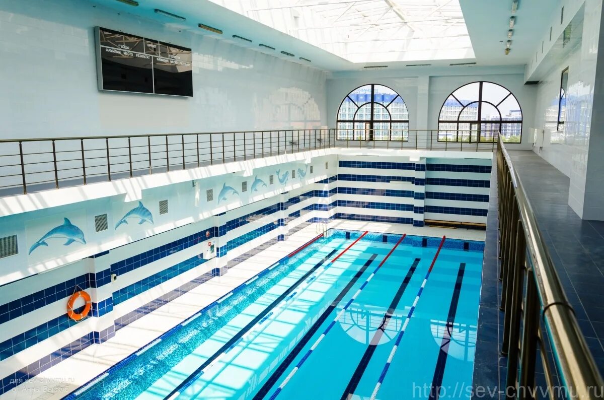 Бассейн чввму им. Пту 6 бассейн. Училище олимпийского резерва 2. Бассейн в новомосковске тульской области. Бассейн роуор ростов-на-дону.