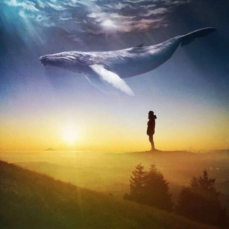 Душа ocean