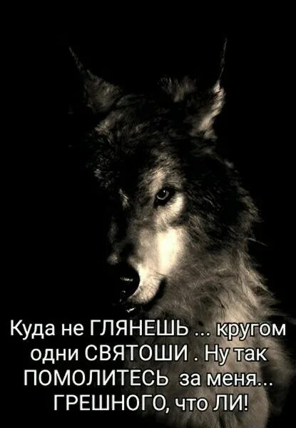 Цитата зачем нужен мужчина. Уже не персик но еще не курага. Помолитесь за меня грешную картинки. Женский юмор. Зачем нужен мужик.