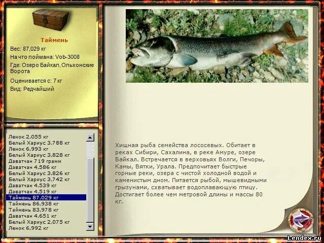 белый байкальский хариус реальная рыбалка. монгольский хариус. белый хариус. русская рыбалка 4 синий трофей. алиэкспресс эхолот для рыбалки на омуля цена?.