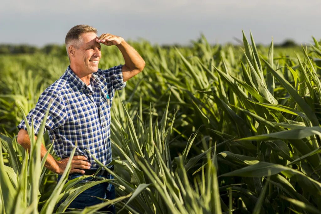 Агроном фермер. Агрономы ищущие работу. Агрономы ищущие работу. Агрономы ищущие работу. Агрономия в сельском хозяйстве.