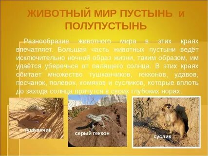 Сообщение о пустыне 5 класс биология
