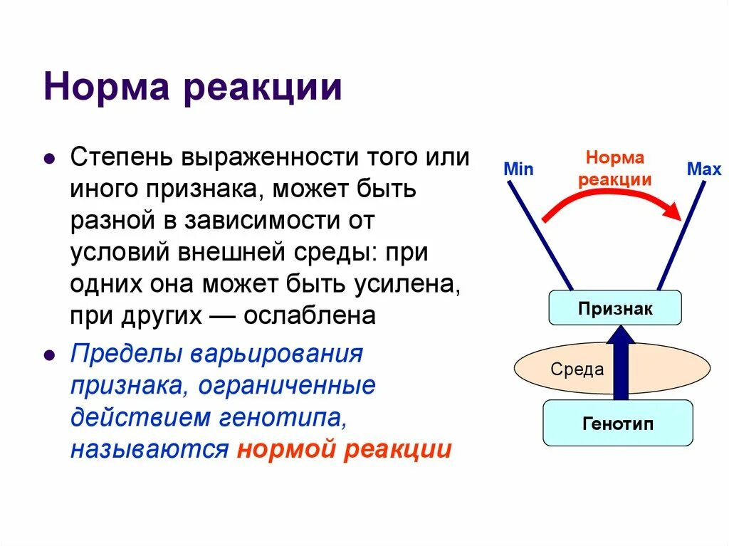 Норма реакции может быть