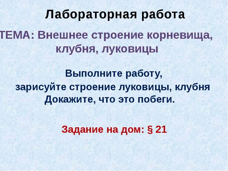Лабораторная работа внешнее строение клубня и луковицы. Внешнее строение корневища лабораторная работа. внешнее строение луковицы лабораторная работа. лабораторная работа внешнее строение корневища клубня и луковицы. лабораторная работа строение луковицы клубня корневища.