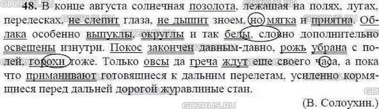 Русский язык 9 класс упр 327. Задания по русскому 9 класс. Русский 9 класс ладыженская. Русский язык 9 класс Тростенцова. Русский язык 9 класс ладыженская упр 48.