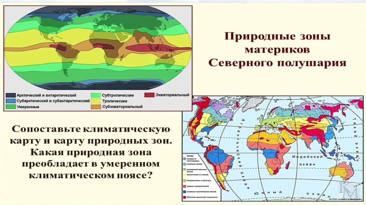 Природные зоны встречающиеся на северных материках