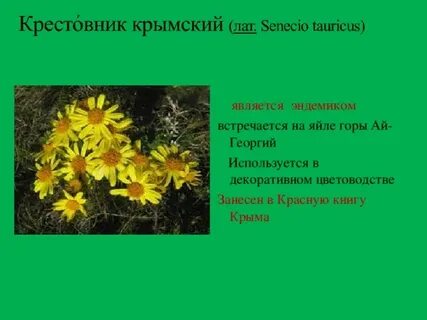 Растения крыма 2 класс
