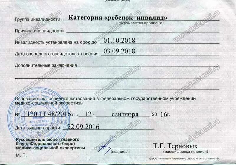 Ярославль группы инвалидов. 1 Группа инвалидности. Справка об инвалидности. Справка об инвалидности 1 группы. Справка об инвалидности 2 группы.