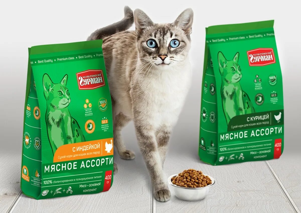 Какой сухой корм самый лучший. Корм для кошек. упаковка корма для кошек. корм для кошек зеленая упаковка. упаковка сухого корма для кошек.