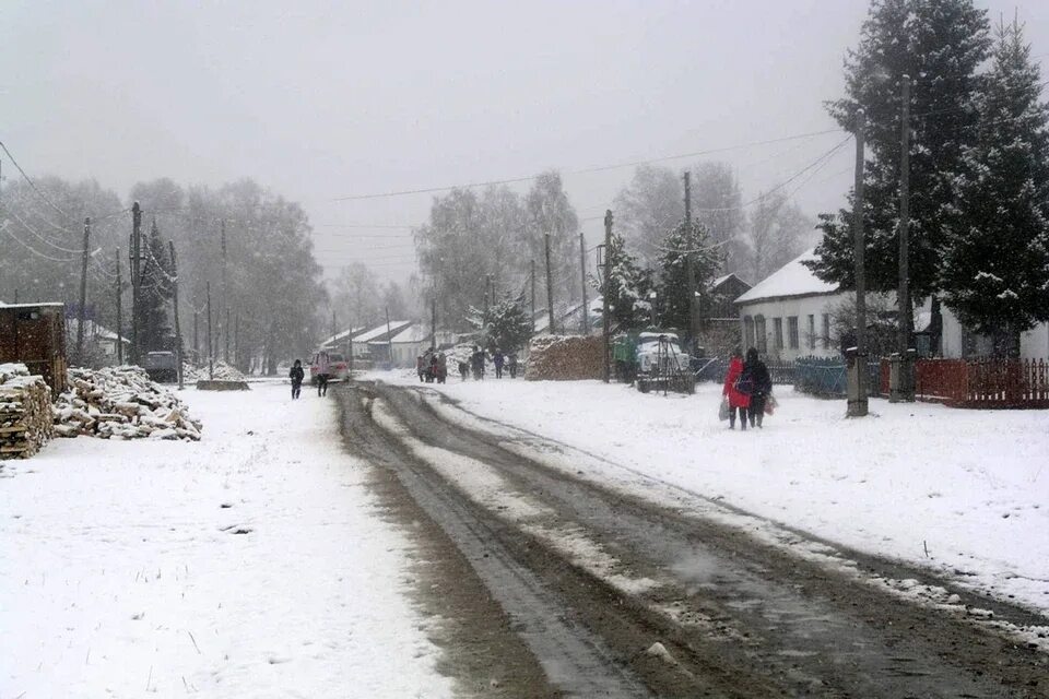 Село Кыштовка Новосибирской области. Село Кыштовка Кыштовский район Новосибирская область. Село Орловка Кыштовский район. Природа Кыштовского района.