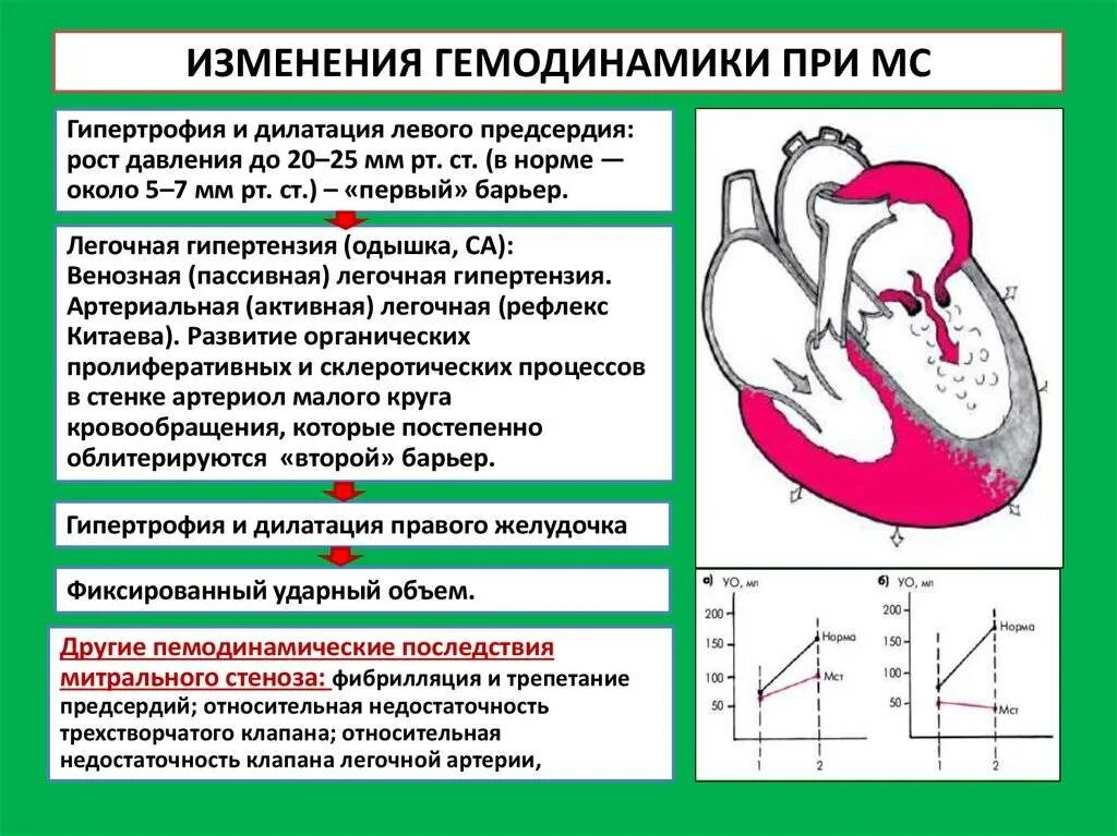 Схема нарушения гемодинамики. Митральная недостаточность гемодинамика схема. Митральный стеноз изменения гемодинамики. Гиподинамика митральный стеноз.