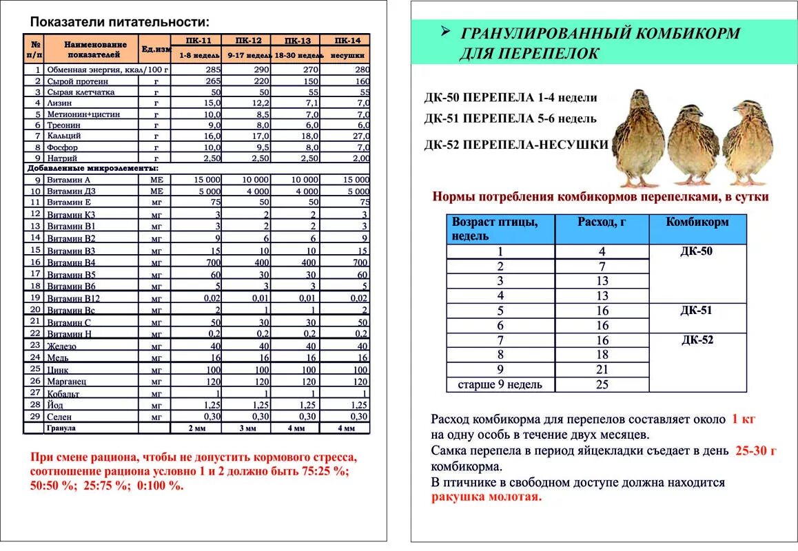 Нормы кормления перепелов таблица. Схема кормления перепелов комбикормом. Норма комбикорма для перепелов в сутки. Нормы кормления перепелов комбикормом таблица.