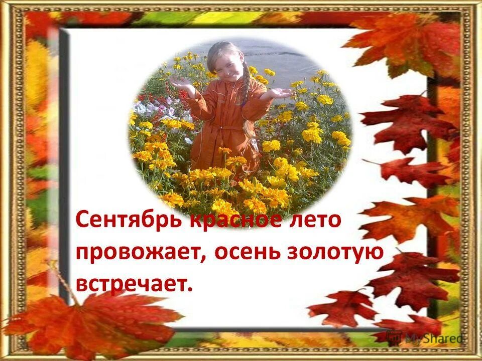 осенний субботник. деревья и кустарники осенью. пикник осенью. осенняя прогулка. осенние выходные.