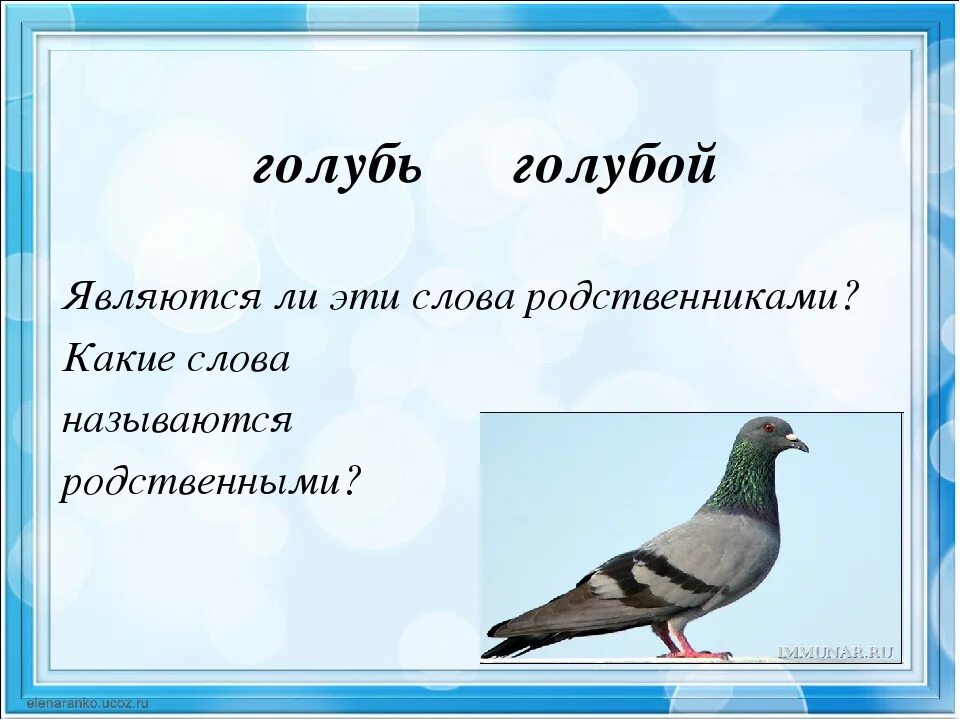 Корень слова сини. Голубь родственные слова. Голубь проверочное. Голубь проверочное слово. Голубь однокоренные слова.