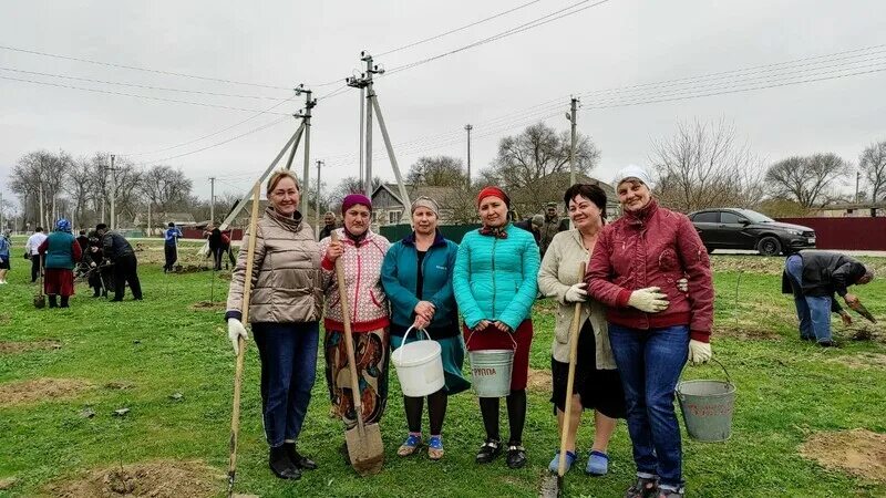 Погода в поселке ставропольском на неделю. Посёлок Рощино Курский район. Ставрополь сад памяти. Администрация поселок Рощино Курский район. Ставропольский край Курский район поселок Мирный амбулатория.