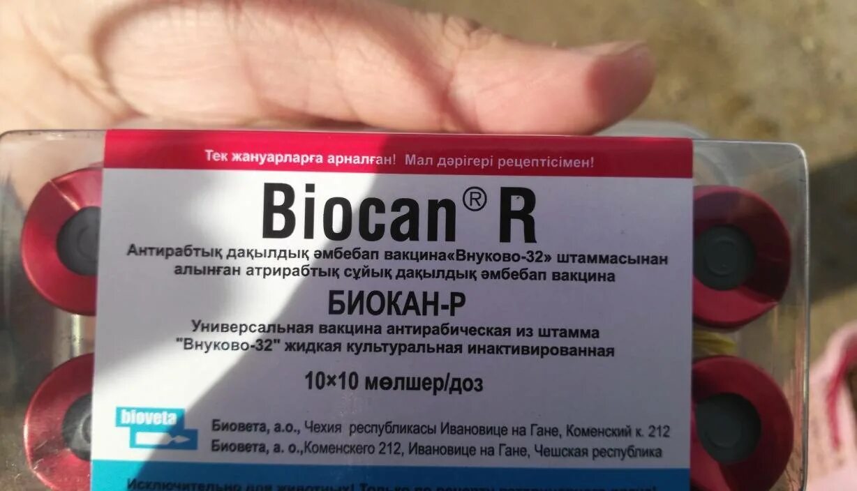 Вакцины против бешенства для собак. Препараты против бешенства. Вакцина против бешенства. Вакцина антирабическая инактивированная. Антирабическая вакцина от бешенства.