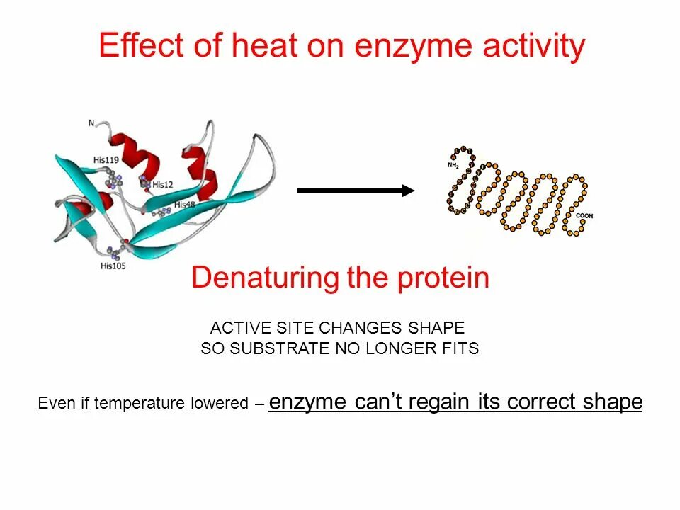 Active site. Effect оф сайт. Активный. Heating Effect. Сайт effect