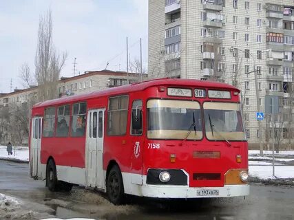 Автобус лоза