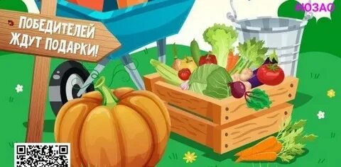 Урожай 10