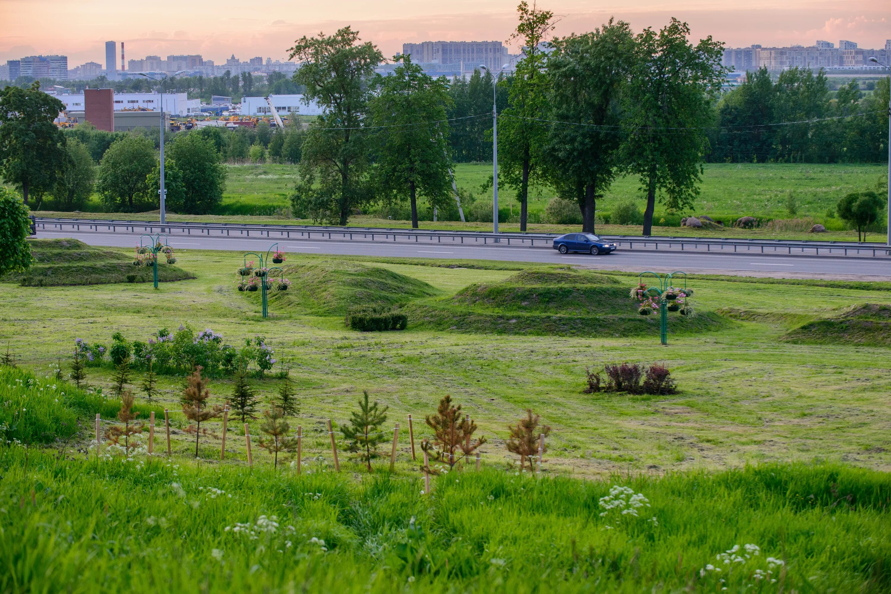 Каток пулковские высоты. Парк Дальняя рогатка. Пулковские высоты парк. Лесопитомник Пулковские высоты. Дмитров Пулковские высоты.