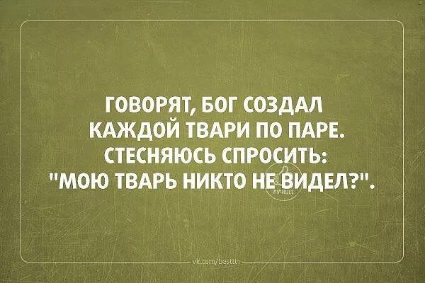 Бог создал каждой паре по паре. Бог создал каждой паре по паре стесняюсь спросить. Открытка стесняюсь спросить а бухать будем. Говорят бог создал каждой твари по паре. Цитаты каждой твари по паре.