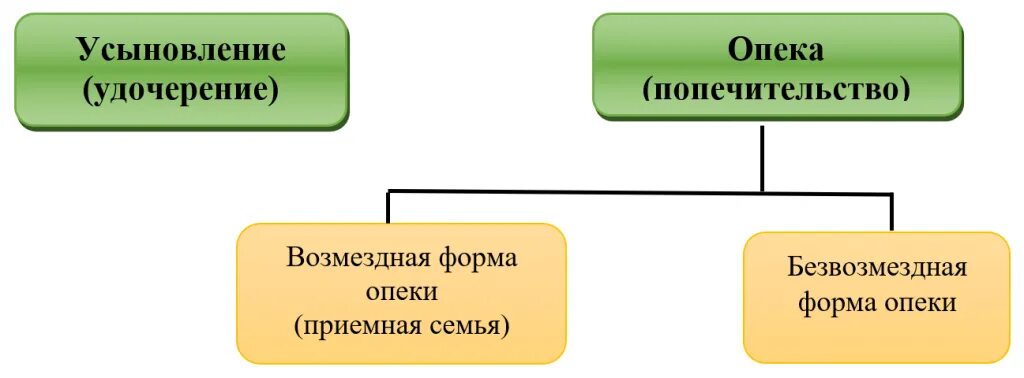 Формы государственного попечения