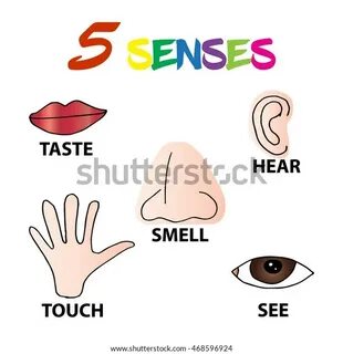 Hear seeing