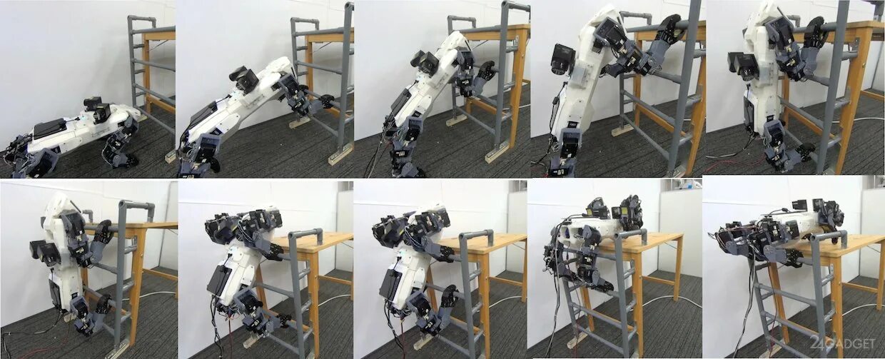 Робот поднимающийся по лестнице. Роботизированная система «walking robot». лестница робототехника. роботы вертикальные. четвероногий робот.