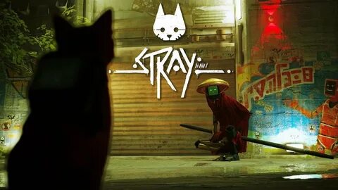 Stray official