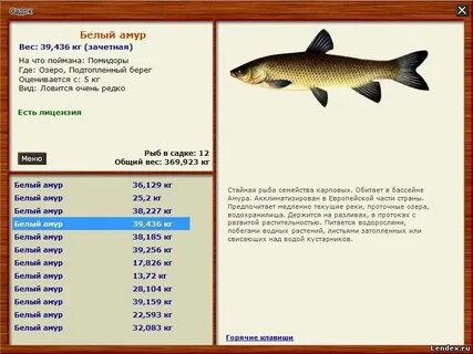 Есть что ловить