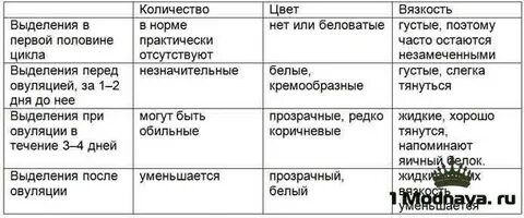 Могут во время овуляции кровянистые