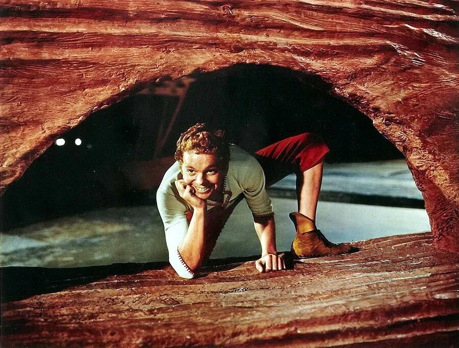 Большой палец сказка. Tom thumb сказка. Tom thumb fairy tale. Мальчик с пальчик на английском. Tom thumb сказка.