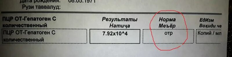 Количественная ПЦР. ПЦР на гепатит с норма. ПЦР гепатит б количественный. Норма ПЦР гепатита в количественный норма.