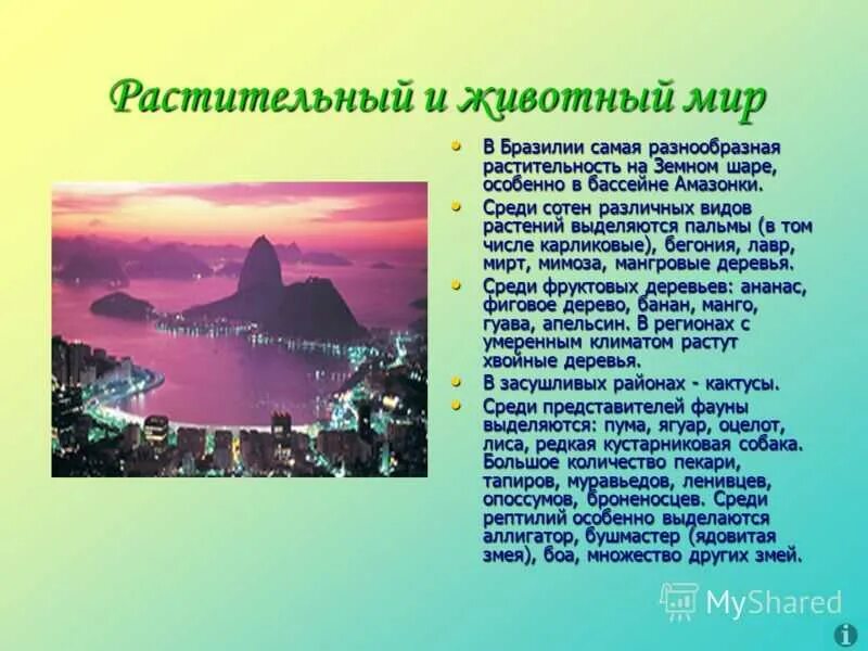 Доклад на тему бразилия. Бразилия презентация. Растительный и животный мир Бразилии кратко. Бразилия кратко. Презентация на тему Бразилия.