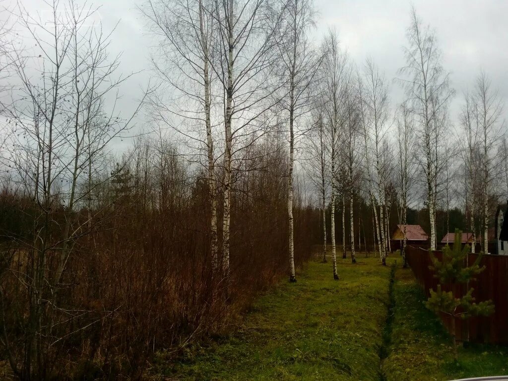 деревня пахотная горка новгородского района. заполье новгородская область батецкий район. лешино великий новгород. долгово новгородский район. купить участок в великом новгороде.