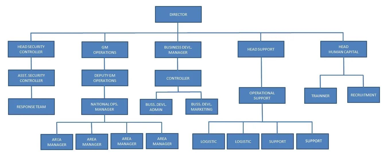 Structure items. Организационная структура pfizer. pfizer структура компании. международная морская организация структура. spacex organization structure.